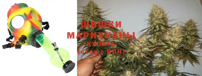 Бошки марихуана Amnesia  ссылка на мегу онион  Благодарный  закладки 